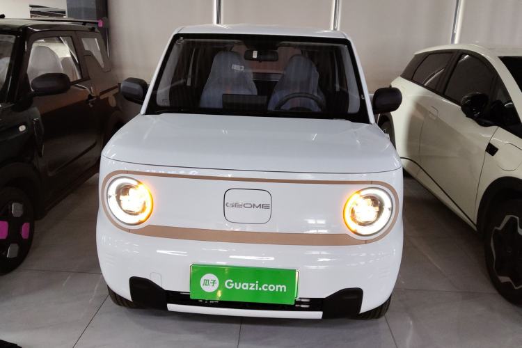 Used  Panda 2024 Panda Mini 200km Endurance Bear
