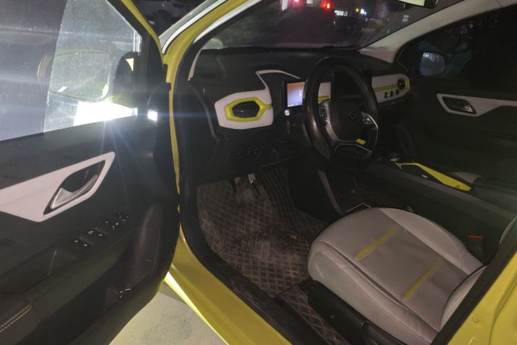 Used SOL E10X 2022 Flower Fairy Design Four-Leaf Clover
