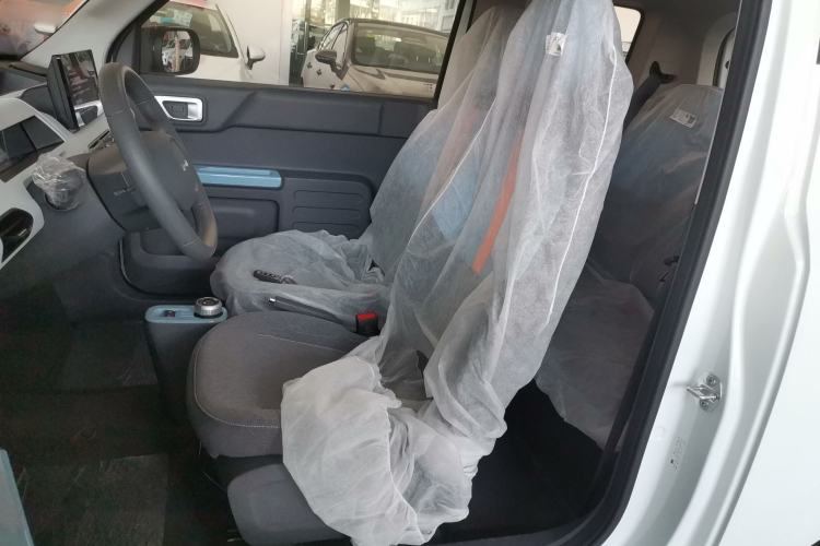 Used  Panda 2024 Panda Mini 200km Endurance Bear
