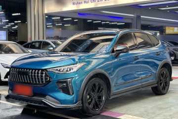 Used Haval LHERY 2021 High-Performance Version 1.5T Golden Rabbit