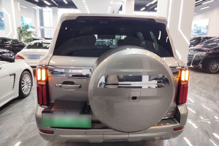 Used Tank 500 New Energy 
