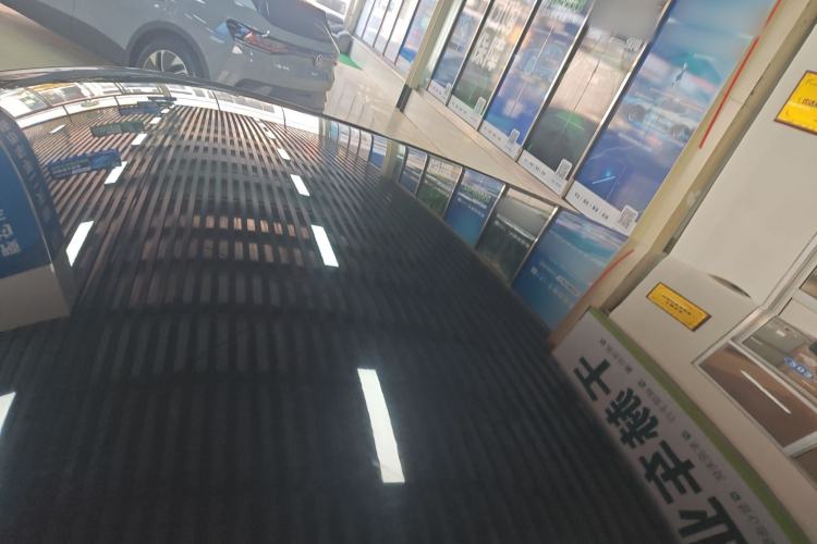 Used ORA Black Cat 2021 301 km Basic Version