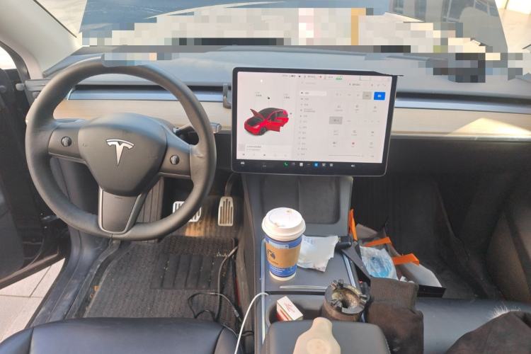 Used Tesla Model Y 2021 Standard Range Rear-Wheel Drive Version
