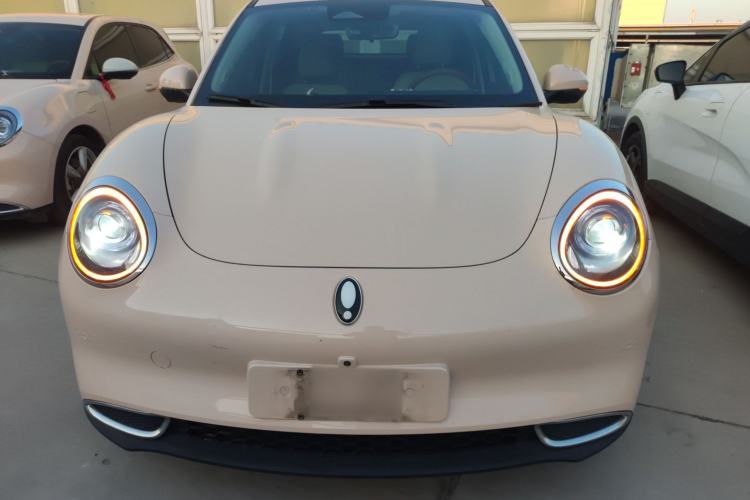 Used ORA Good Cat 2023 401 km Standard Range Luxury Version Lithium Iron Phosphate
