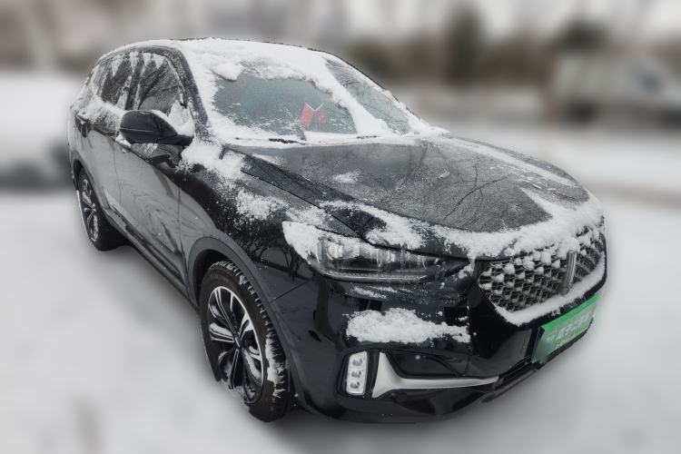 Used Wey VV6 2021 2.0T Two-Wheel Drive Smart Protection+