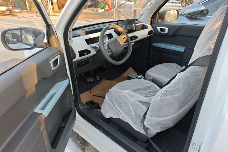 Used  Panda 2024 Panda Mini 200km Endurance Bear