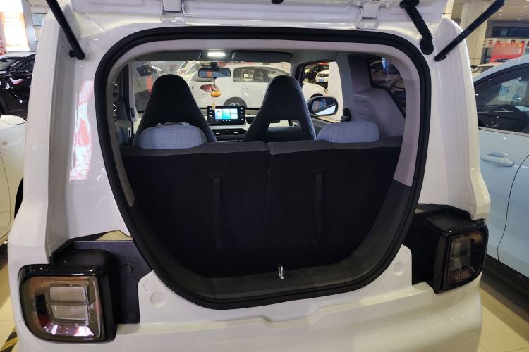 Used  Panda 2024 Panda Mini 200km Endurance Bear
