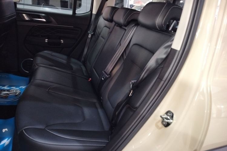 Used Tank 300 New Energy 2025 Hi4-T
