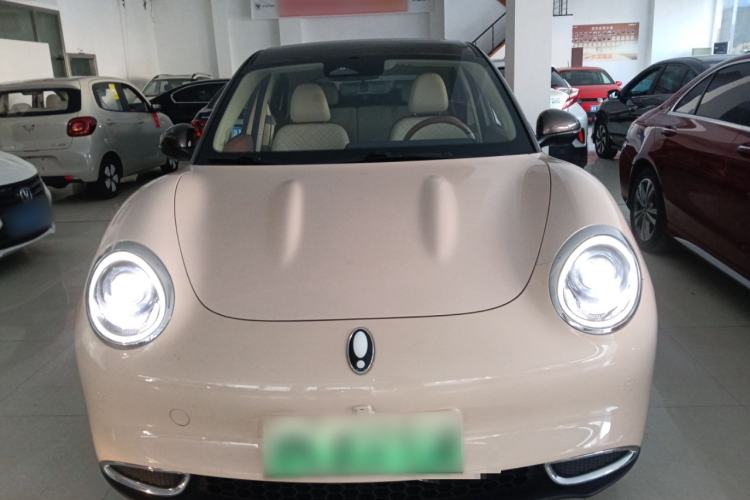 Used ORA Good Cat 2021 400km Standard Range Venus Edition Lithium-Ion Battery
