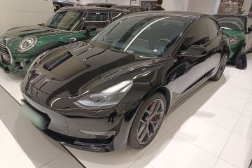 Used Tesla Model 3 2021 Revised Version II – Performance High-Performance All-Wheel-Drive Edition