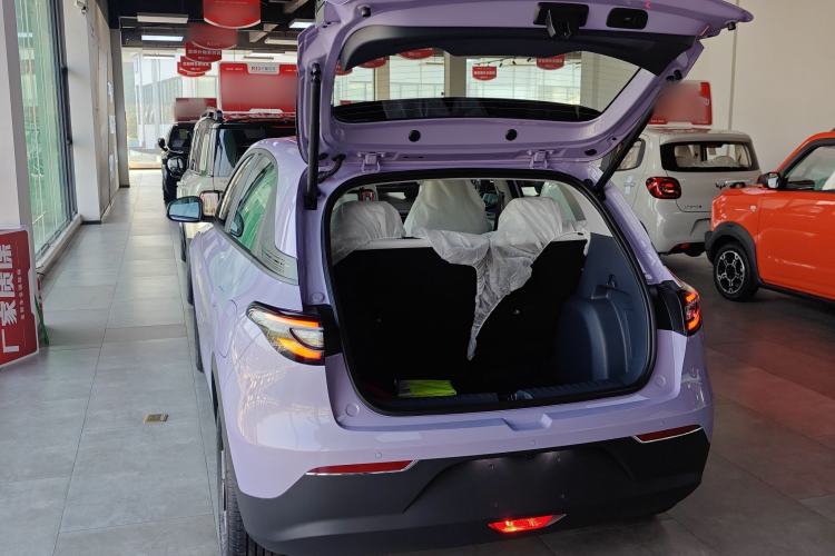 Used  Geome 2025 310km Dream Edition
