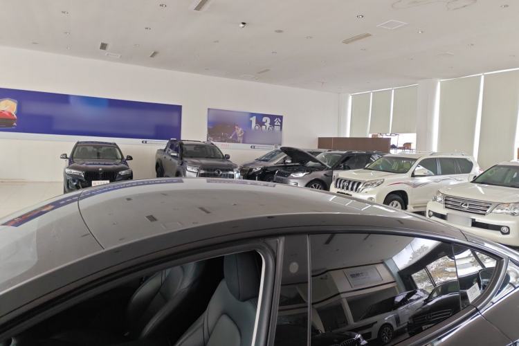 Used Tesla Model Y 2022 Revised Version Long-Range All-Wheel Drive