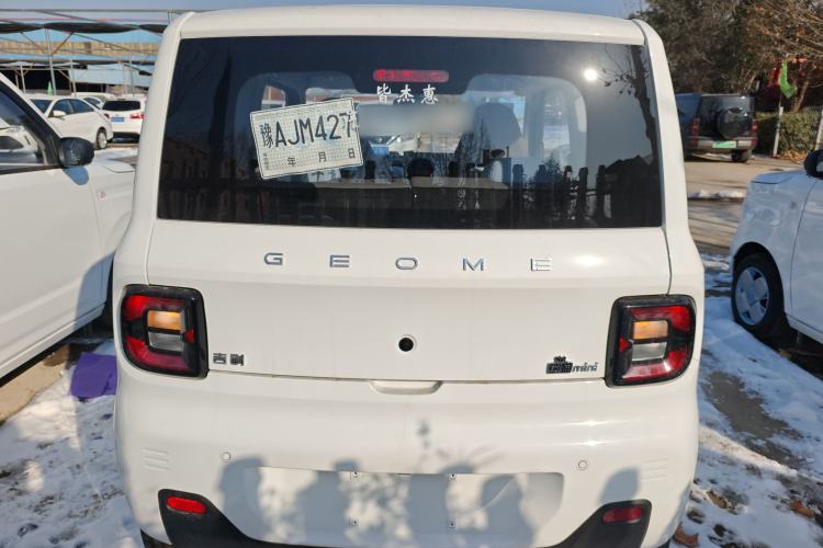 Used  Panda 2024 Panda Mini 200km Endurance Bear