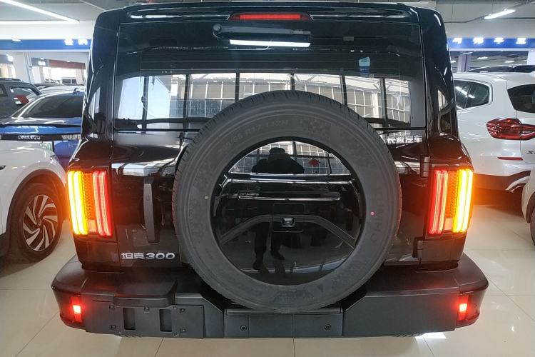 Used Tank 300 2024 2.0T Conqueror
