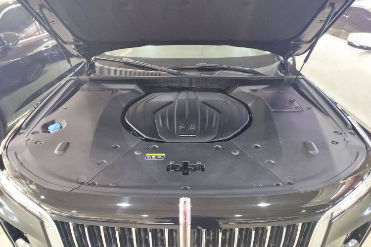 Used Hongqi H9 2020 2.0T Smart Connect Flagship Edition
