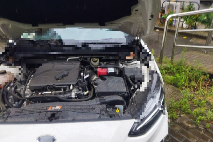 Used Ford Focus 2021 Hatchback EcoBoost 180 Automatic Titanium Edition
