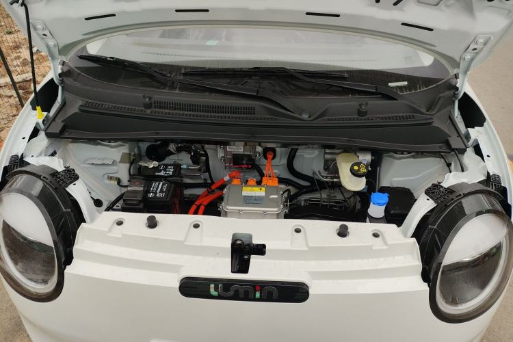 Used  Lumin 2025 205 km Xiangqin Version