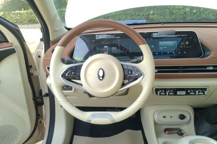 Used ORA Good Cat 2024 401 km Luxury Version
