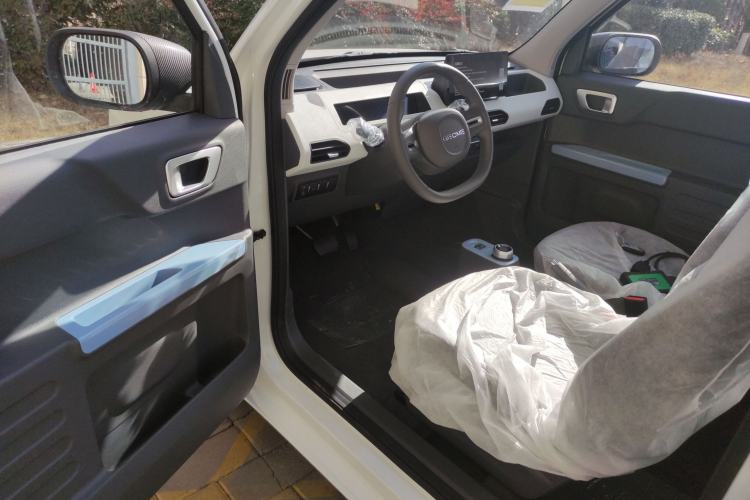 Used  Panda 2024 Panda Mini 200km Endurance Bear
