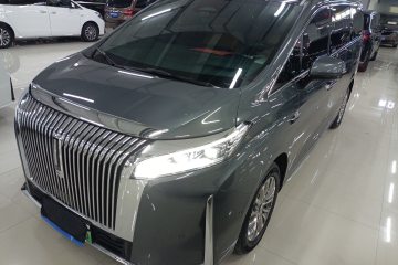 Used Wey Gaoshan 2025 Four-Wheel Drive Alpine 8