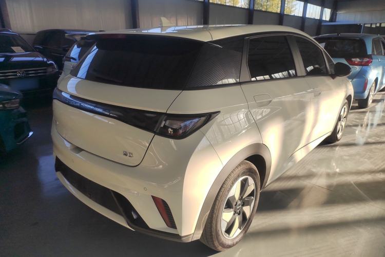 Used BYD Dolphin 2024 Honor Edition 420km Fashion Version
