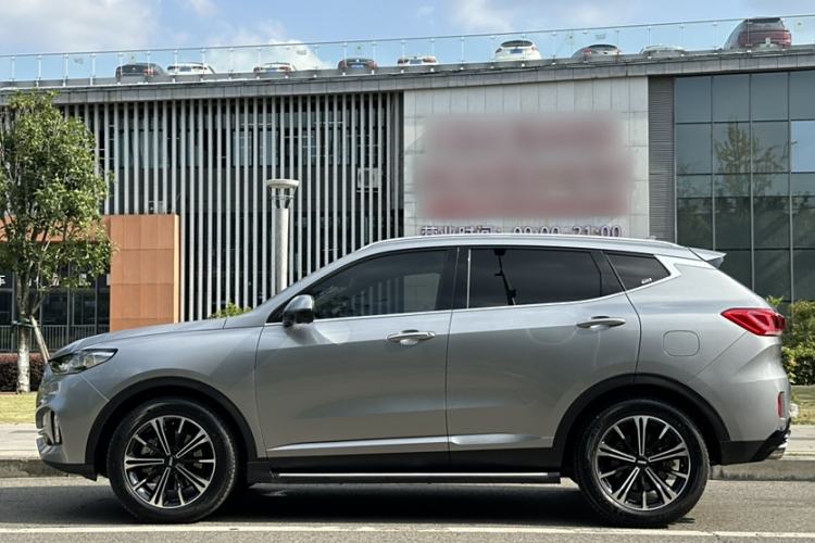 Used Wey VV6 2021 2.0T Two-Wheel Drive Smart Protection+
