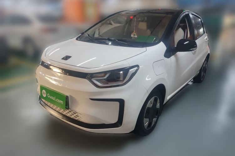 Used SOL E10X 2022 Flower Fairy Design Four-Leaf Clover