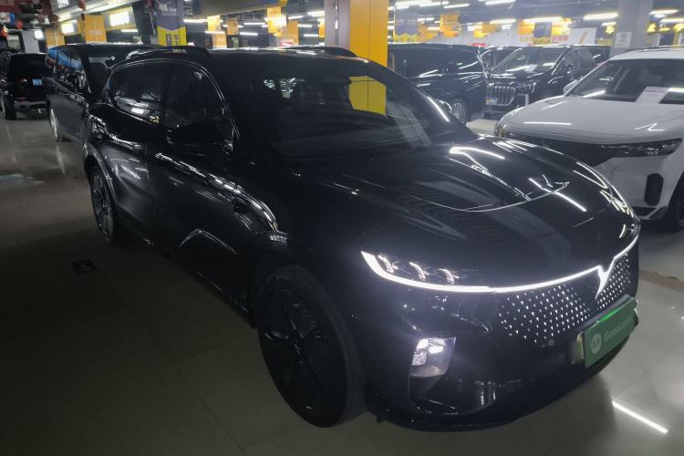 Used VOYAH COURAGE 2024 Four-Wheel Drive Global Edition
