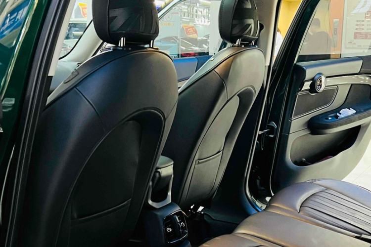 Used  Countryman 2018 2.0T COOPER S ALL4 Artist
