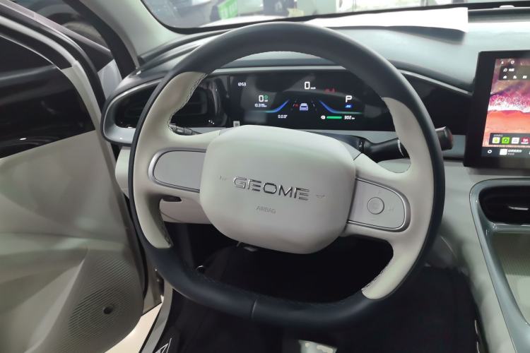 Used  Geome 2025 310km Youth Edition