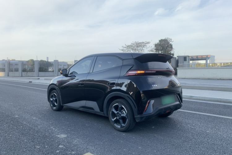 Used BYD Seagull 2023 Free Edition
