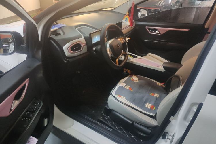 Used SOL E10X 2022 Flower Fairy Design Four-Leaf Clover
