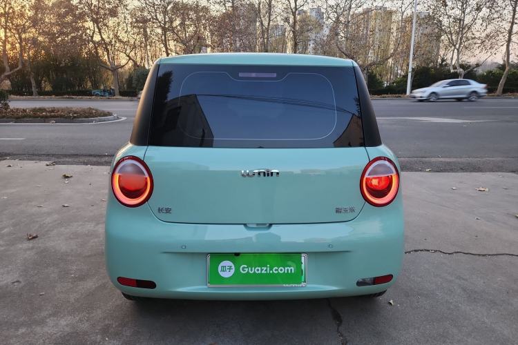 Used  Lumin 2025 205 km Xiangqin Version