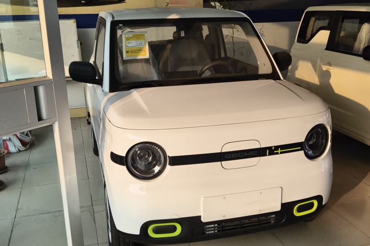 Used  Panda 2025 210 km – Yuanqi Bear
