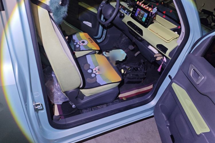 Used  Panda 2024 Panda Mini 200km Endurance Bear