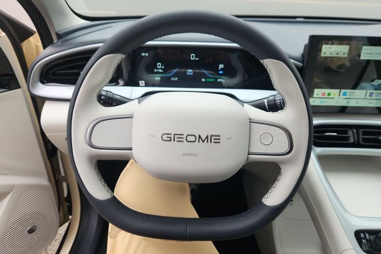 Used  Geome 2025 310km Youth Edition
