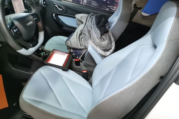 Used Chery Little Ant 2022 Sweet Pink Edition Half-Sugar Version 3-Cell Lithium 30kW 301km