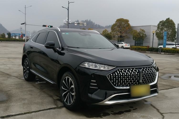 Used Wey Mocha 2021 2.0T Two-Wheel-Drive Ultra-Strong Version