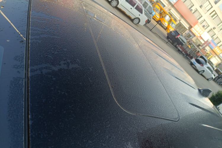 Used Great Wall Poer 2023 2.0T Passenger Version Automatic Diesel Two-Wheel Drive Comfort Trim – GW4D20M