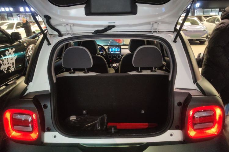 Used ORA Black Cat 2022 Updated Version 301 km Cute Pet Edition Lithium Iron Phosphate