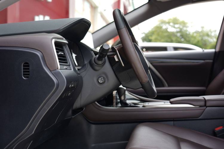 Used Lexus RX 2020 300 4x4 Elegant Edition China VI
