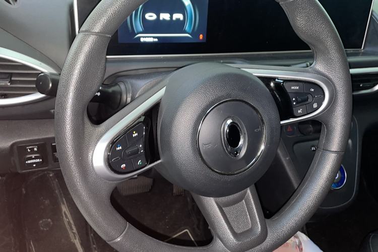 Used ORA White Cat 2020 401 km Long-Range Version
