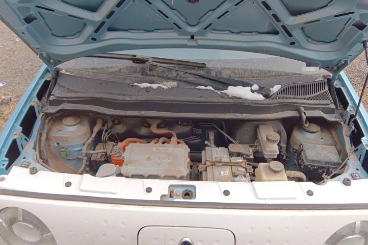 Used ORA Black Cat 2019 351 km Fun Edition
