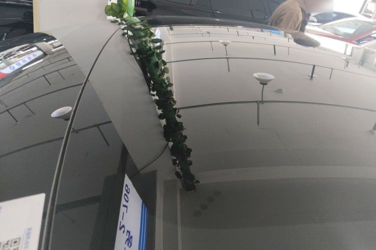 Used Tesla Model 3 2023 Rear-Wheel-Drive Version