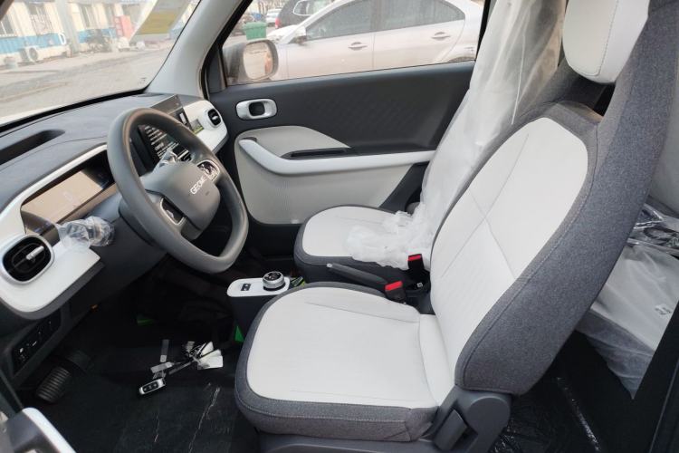 Used  Panda 2025 210 km – Yuanqi Bear