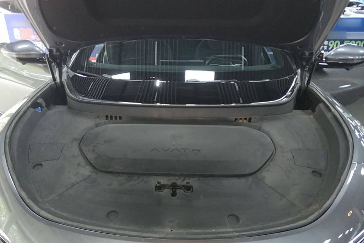 Used  07 2024 Max Extended-Range Edition
