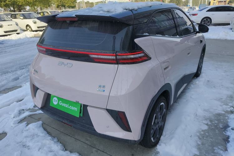 Used BYD Seagull 2025 Smart Drive Version 305 km Freedom Edition
