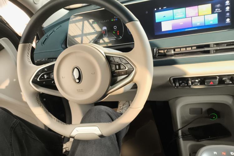 Used ORA Good Cat 2021 400km Standard Range Muse Edition Lithium-Ion Battery