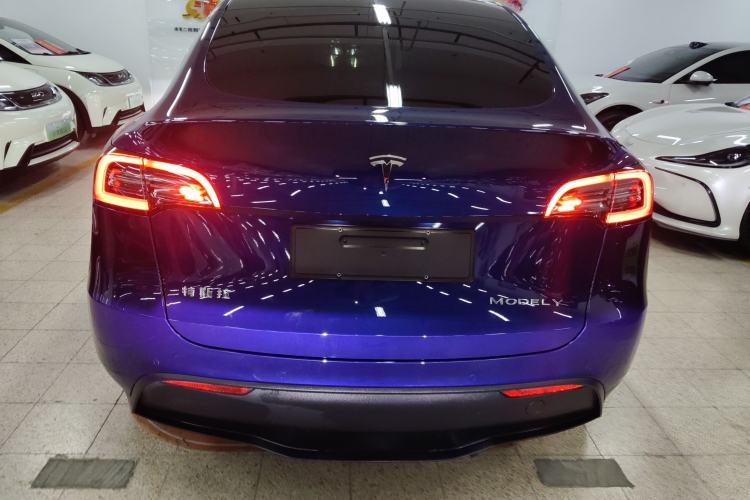 Used Tesla Model Y 2021 Long-Range All-Wheel-Drive Version
