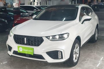 Used Wey VV5 2020 1.5T Two-Wheel Drive Color Pioneer